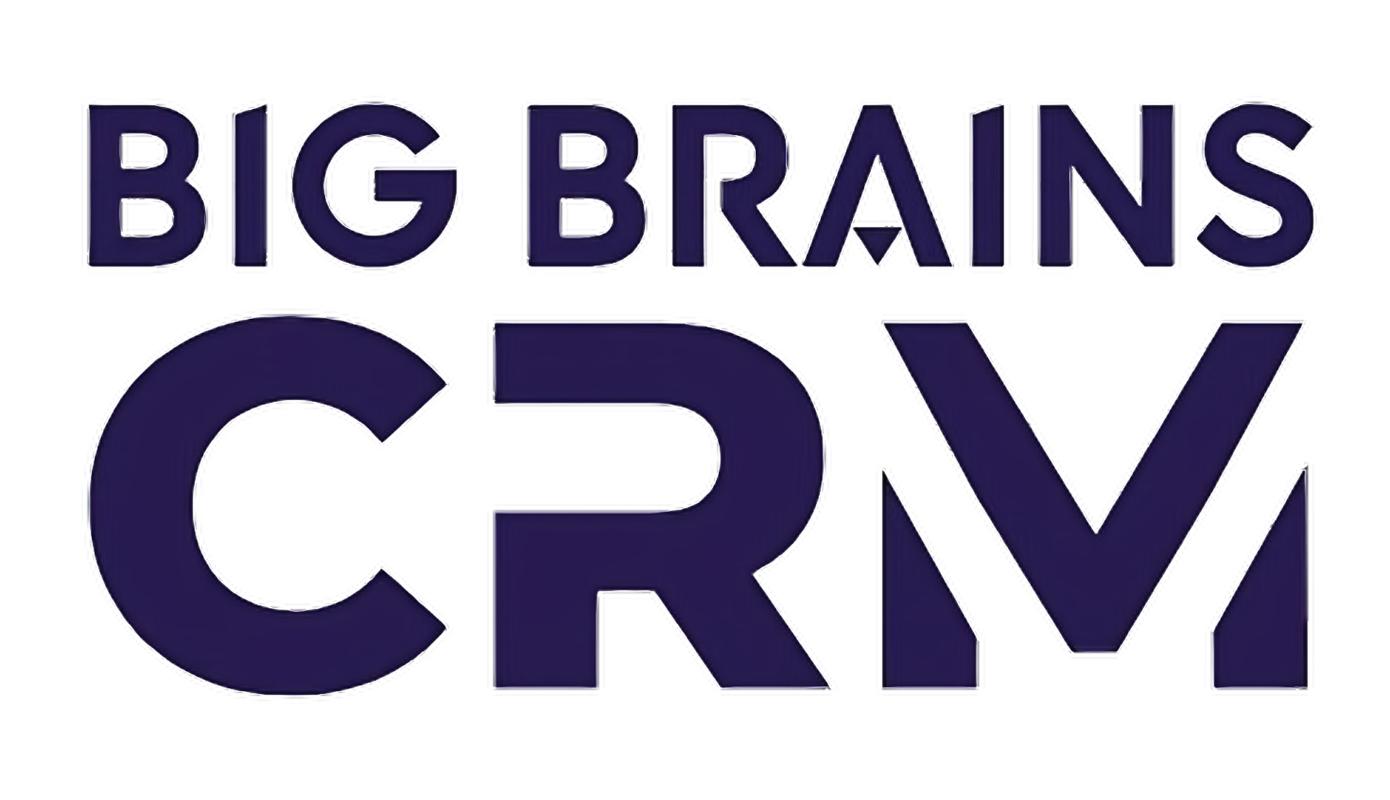 BIG BRAINS CRM